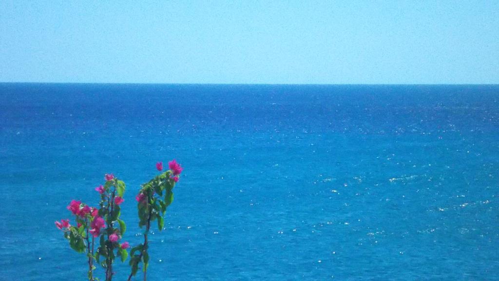 Ladikos Beach Hotel Kardamena  Rum bild